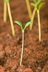 Similar image 245609