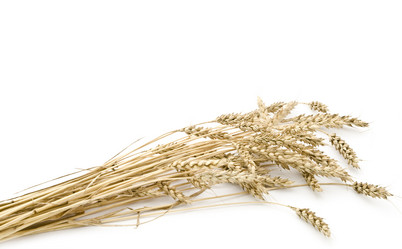 Similar image 245629