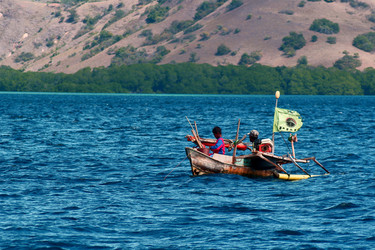 Similar image 245638