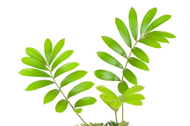 Similar image 245651