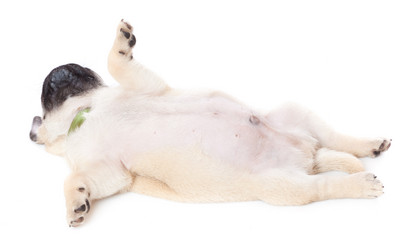 Similar image 245666