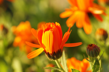 Similar image 245668