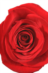 Similar image 245669