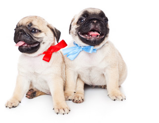 Similar image 245670