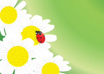 Similar image 245671