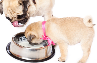 Similar image 245683