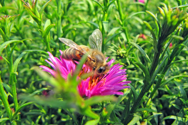 Similar image 245725