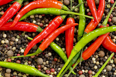 Similar image 245757