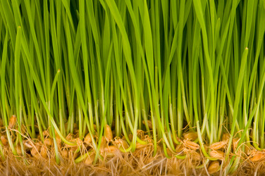 Similar image 245858