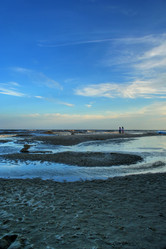 Similar image 245859