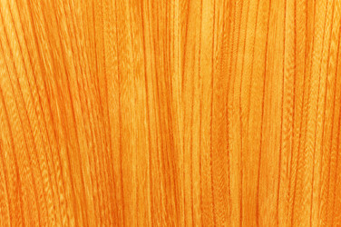 Similar image 245871