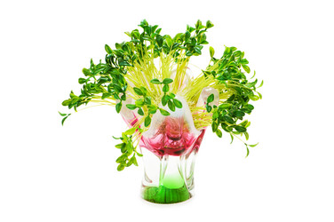 Similar image 245872