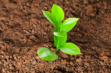 Similar image 245878