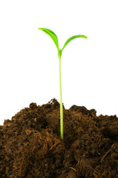 Similar image 245881