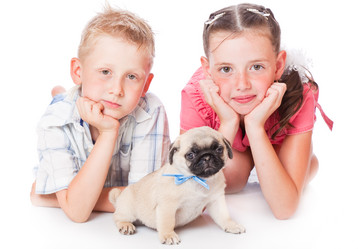 Similar image 245928