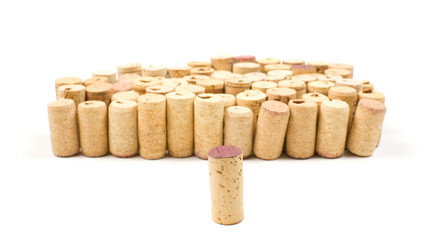 Similar image 245942