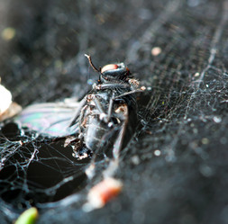 Similar image 245957