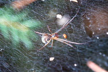 Similar image 245958