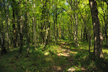 Similar image 245979