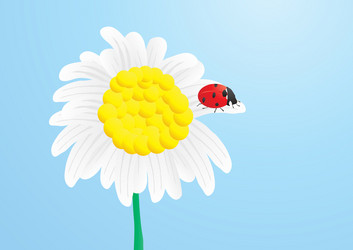 Similar image 245991