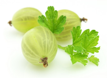 Similar image 246003