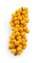 Similar image 246007