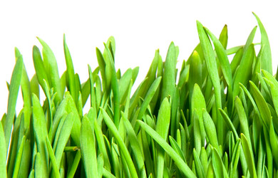 Similar image 246018