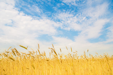 Similar image 246022