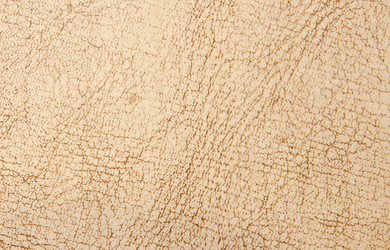 Similar image 246064