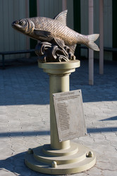 Similar image 246090