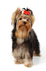 Similar image 246092