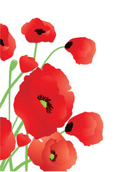 Similar image 246097