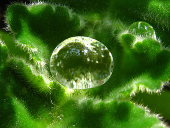 Similar image 246216