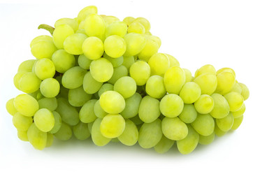 Similar image 246239