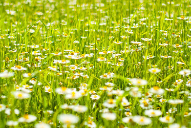 Similar image 246248