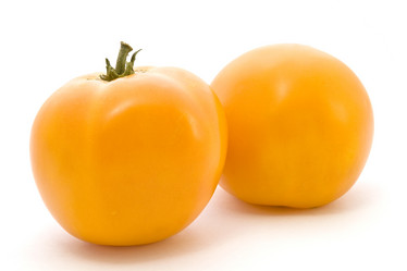 Similar image 246259