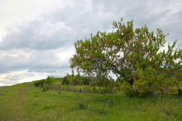 Similar image 246277