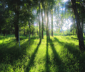 Similar image 246322