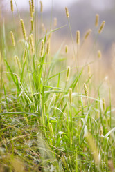 Similar image 246328