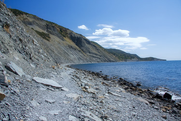 Similar image 246419