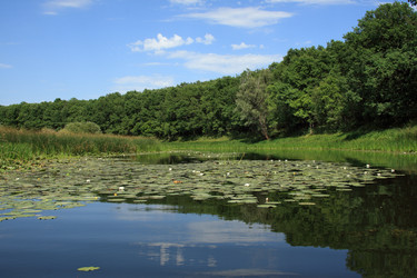 Similar image 246452