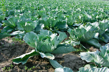 Similar image 246454