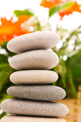 Similar image 246467