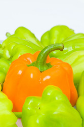 Similar image 246478