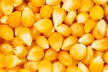 Similar image 246483