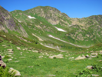 Similar image 246491