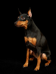 Similar image 246574