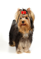 Similar image 246577