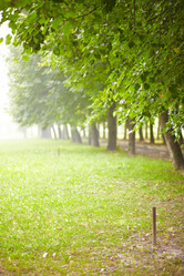 Similar image 246599