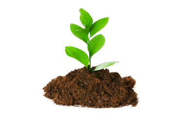 Similar image 246659